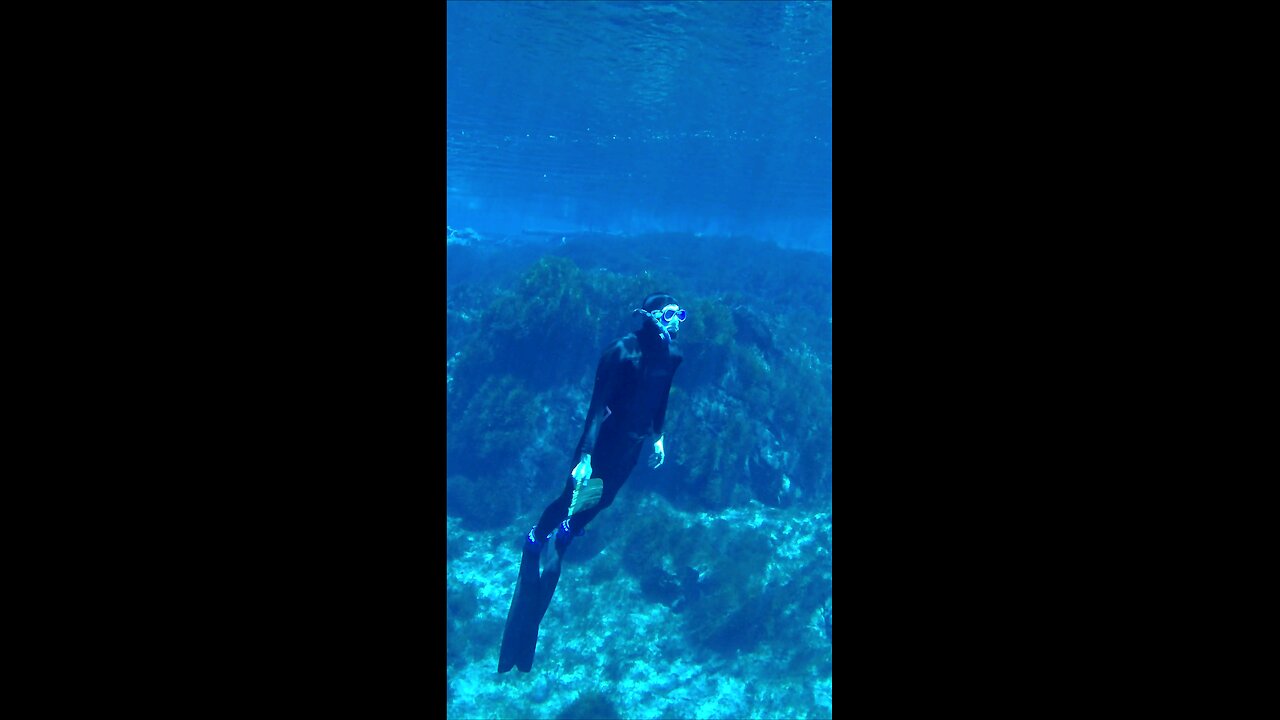 Free Diver at Clear lake Oregon