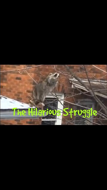 The Hilarious Struggle