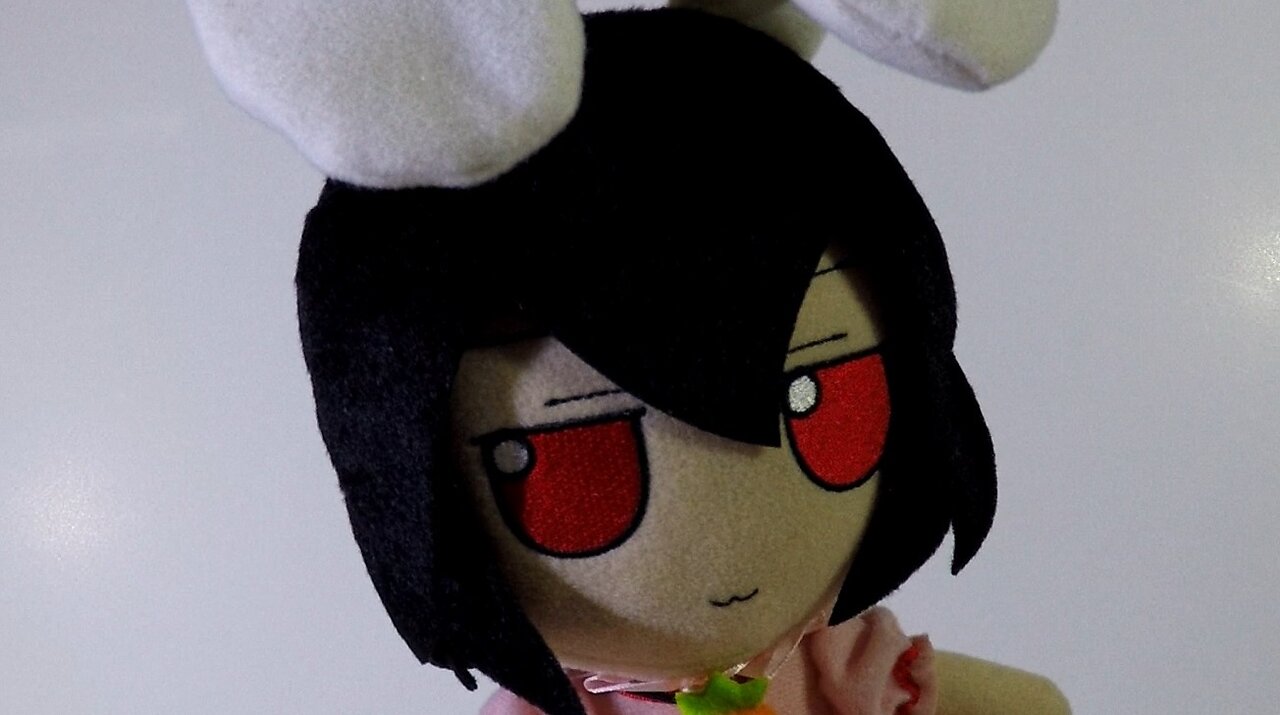 Tewi found you