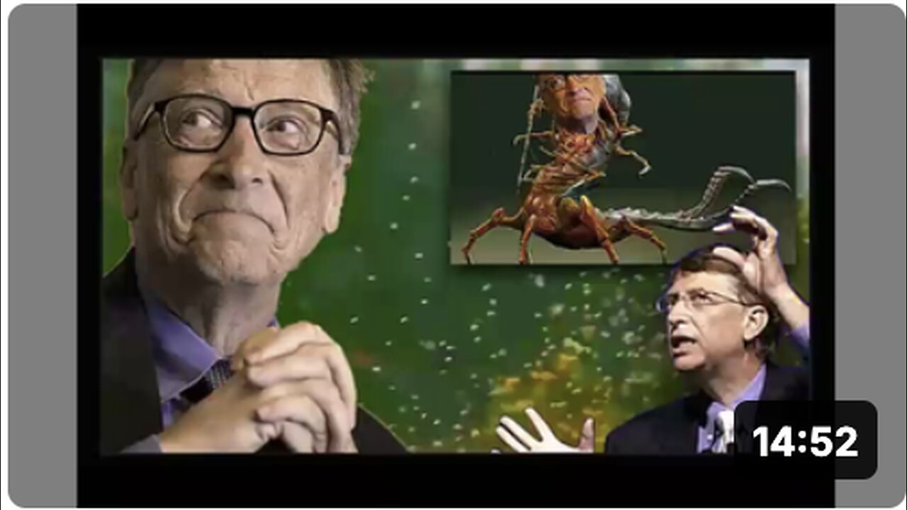 Genetically engineered mosquitoes. The flying syringes of Bill Gates. Safe and effective right