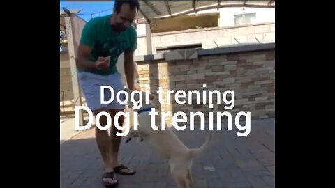 🐶🐶🐶🐶 Dog video 🐕🐕🐕