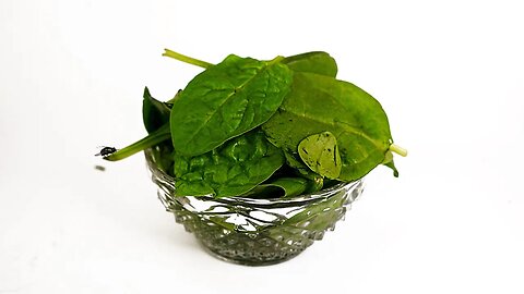 Rotting Spinach Timelapse - Still Edible after 25 days?