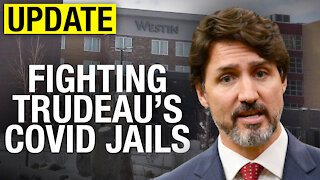 UPDATE: Day 3 of Rebel News legal challenge against COVID jails