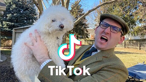 QUINCY DOG TIKTOK COMPILATION!