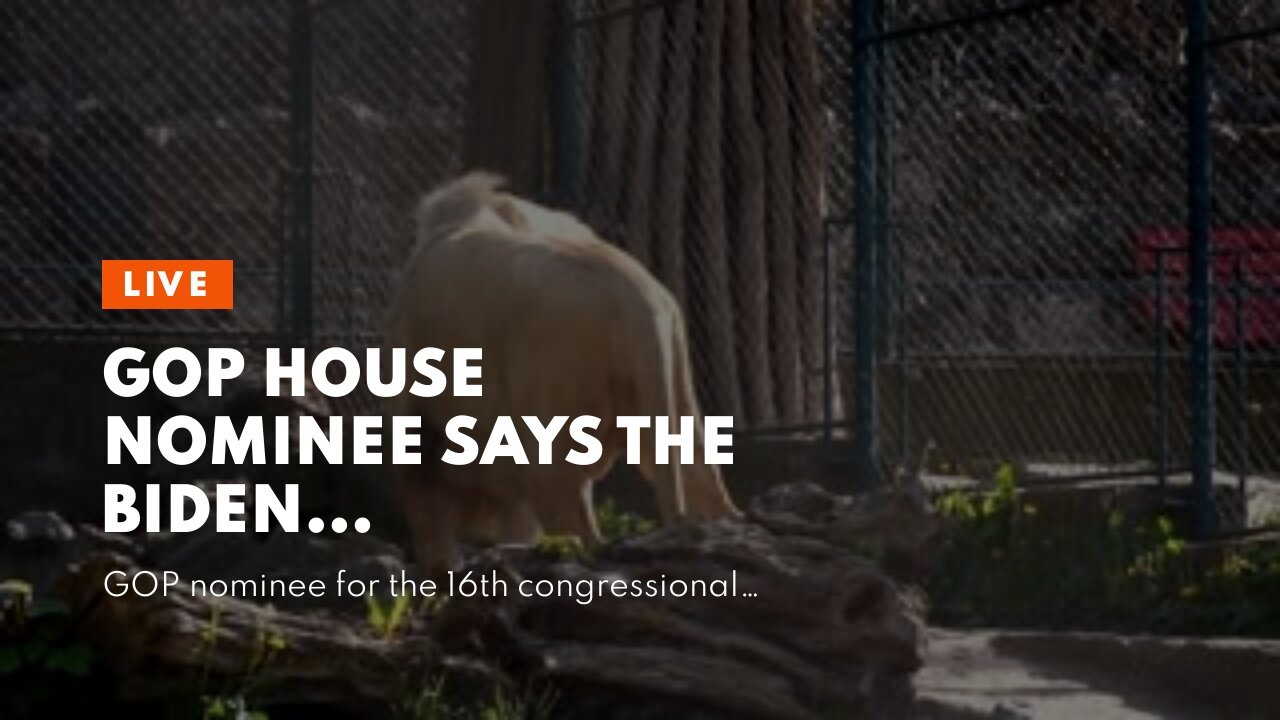 GOP House nominee says the Biden administration is coming out against its own citizens