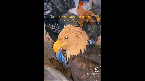 make america great again