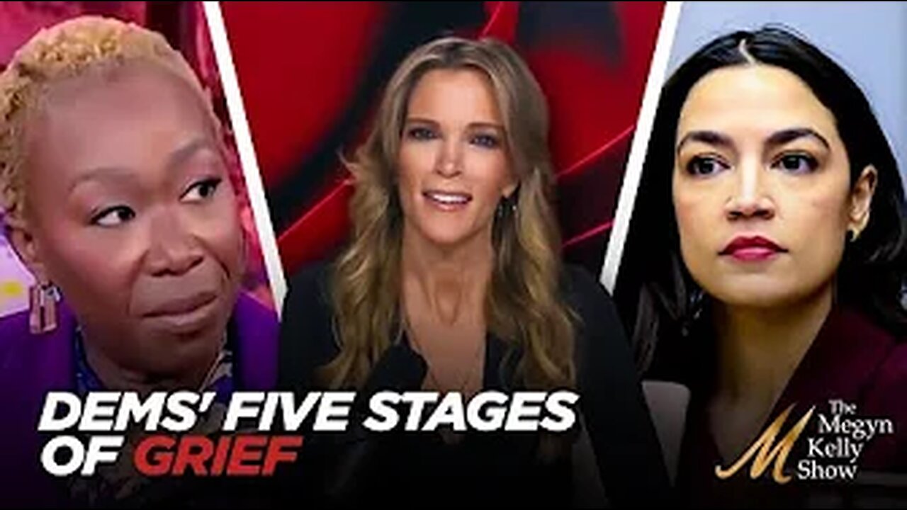 Megyn Kelly- Highlights Dems' Five Stages of Grief as They Try To Understand Trump's Massive Victory