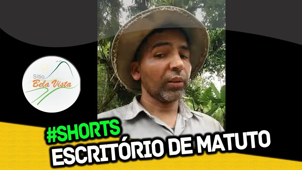 #SHORTS ESCRITÓRIO DE MATUTO