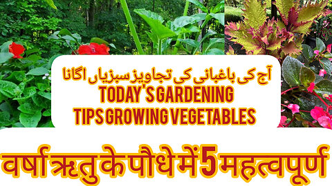 Kindly garden and best Moonsoon season vegetables August garden