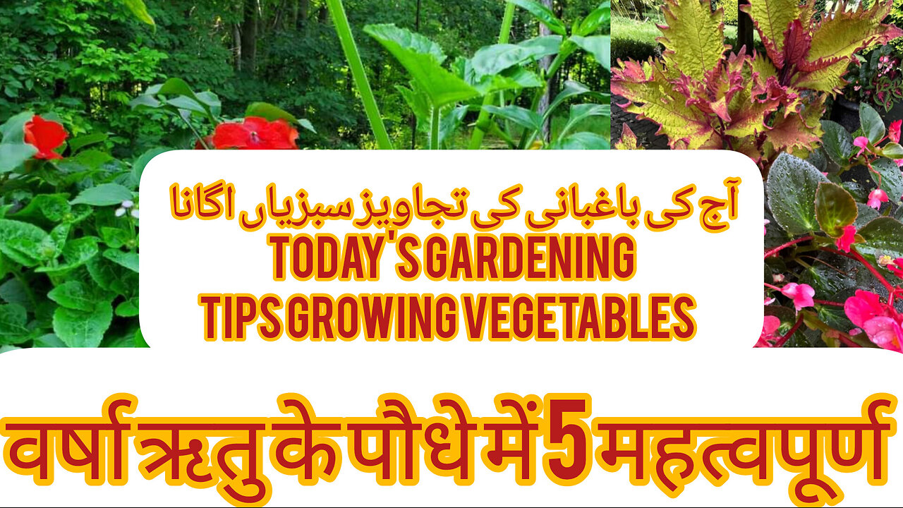 Kindly garden and best Moonsoon season vegetables August garden