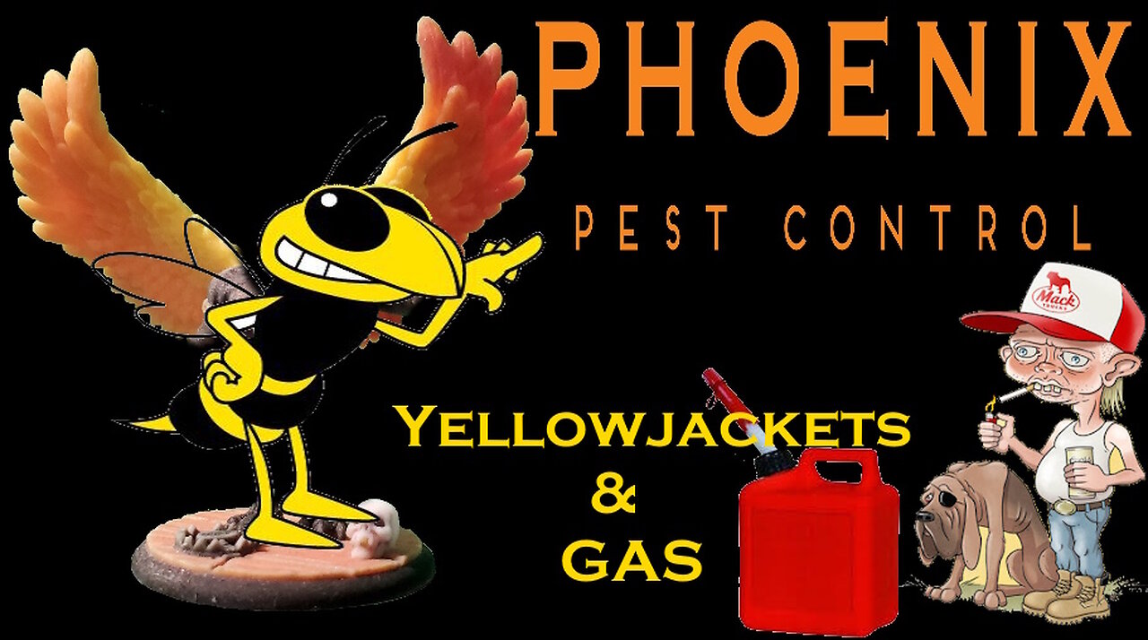 STOP Using Gas on Yellowjackets