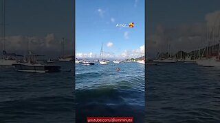 Linda praia Ilhabela Litoral Norte de São Paulo. #ilhabela #shorts