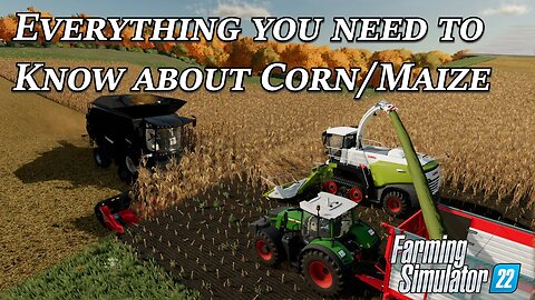 Everything you need to know about Corn/Maize in Farming Simulator 22