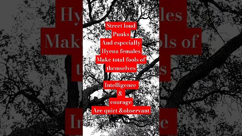 #sigma #hyena #intelligence #livinginmycar #mobiledweller #minimalist #introvert #observant #outlaw