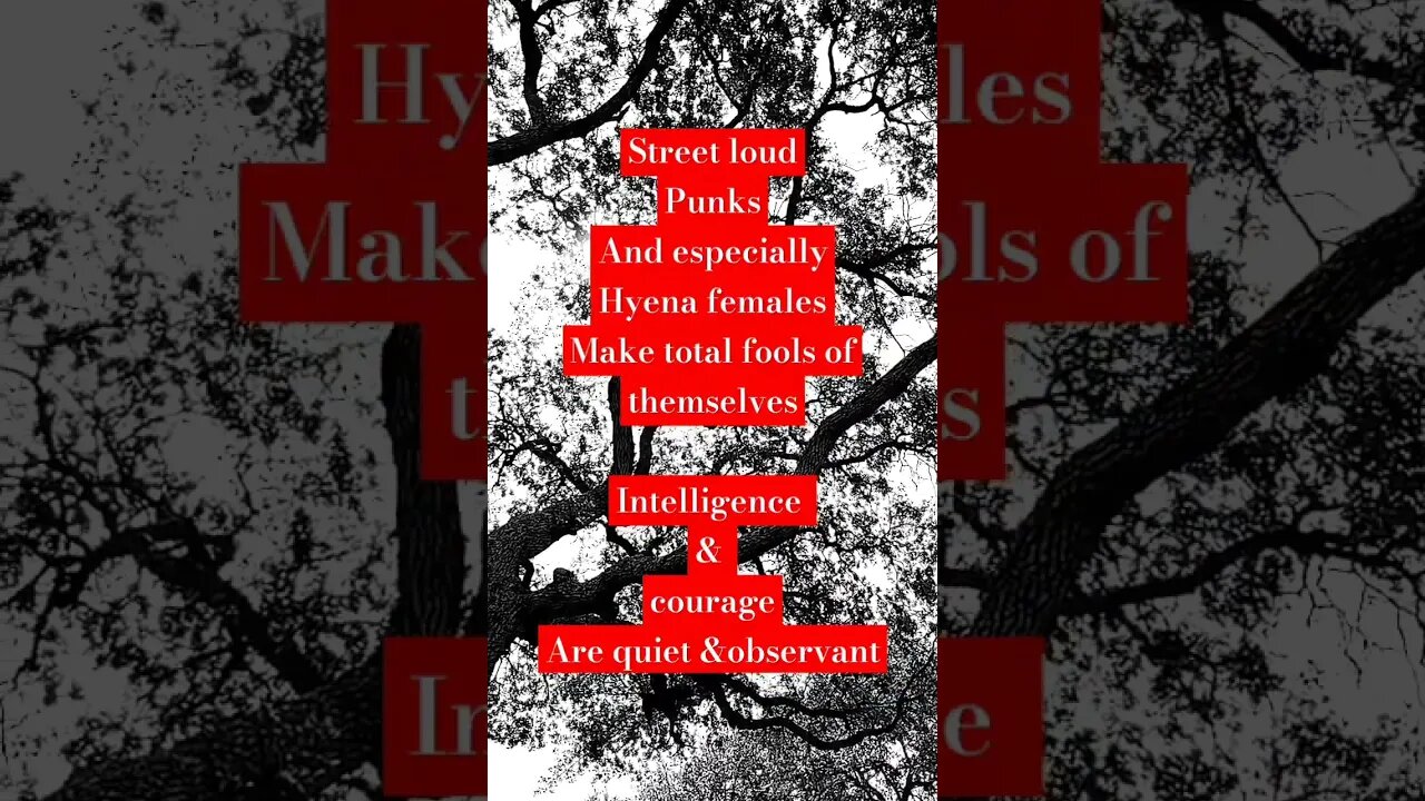 #sigma #hyena #intelligence #livinginmycar #mobiledweller #minimalist #introvert #observant #outlaw