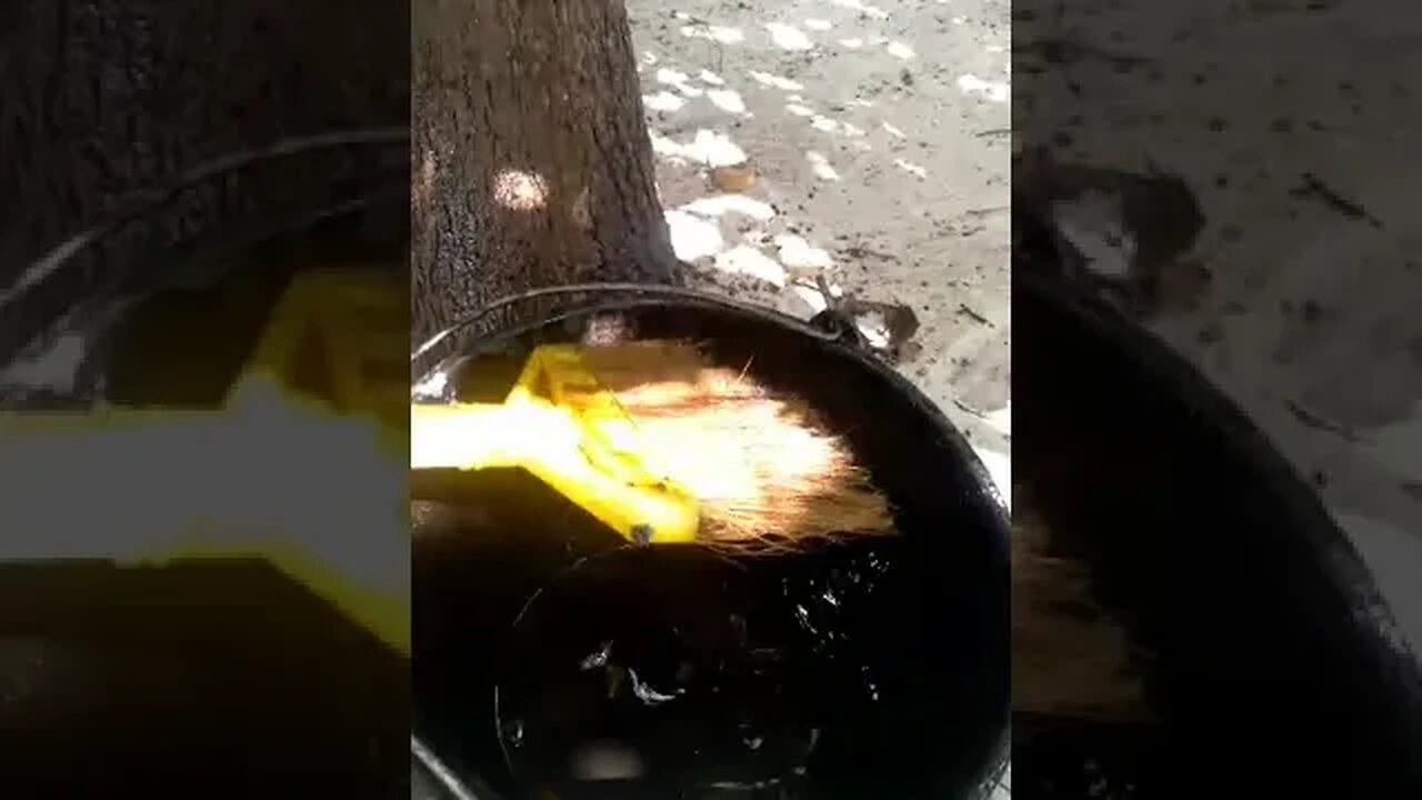 Planting the tree