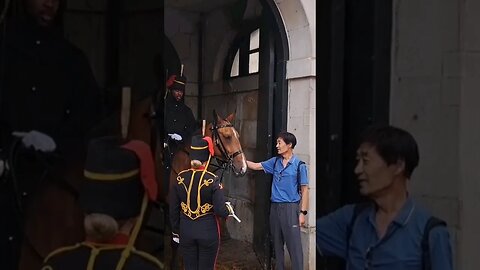 Got away with to much #horseguardsparade