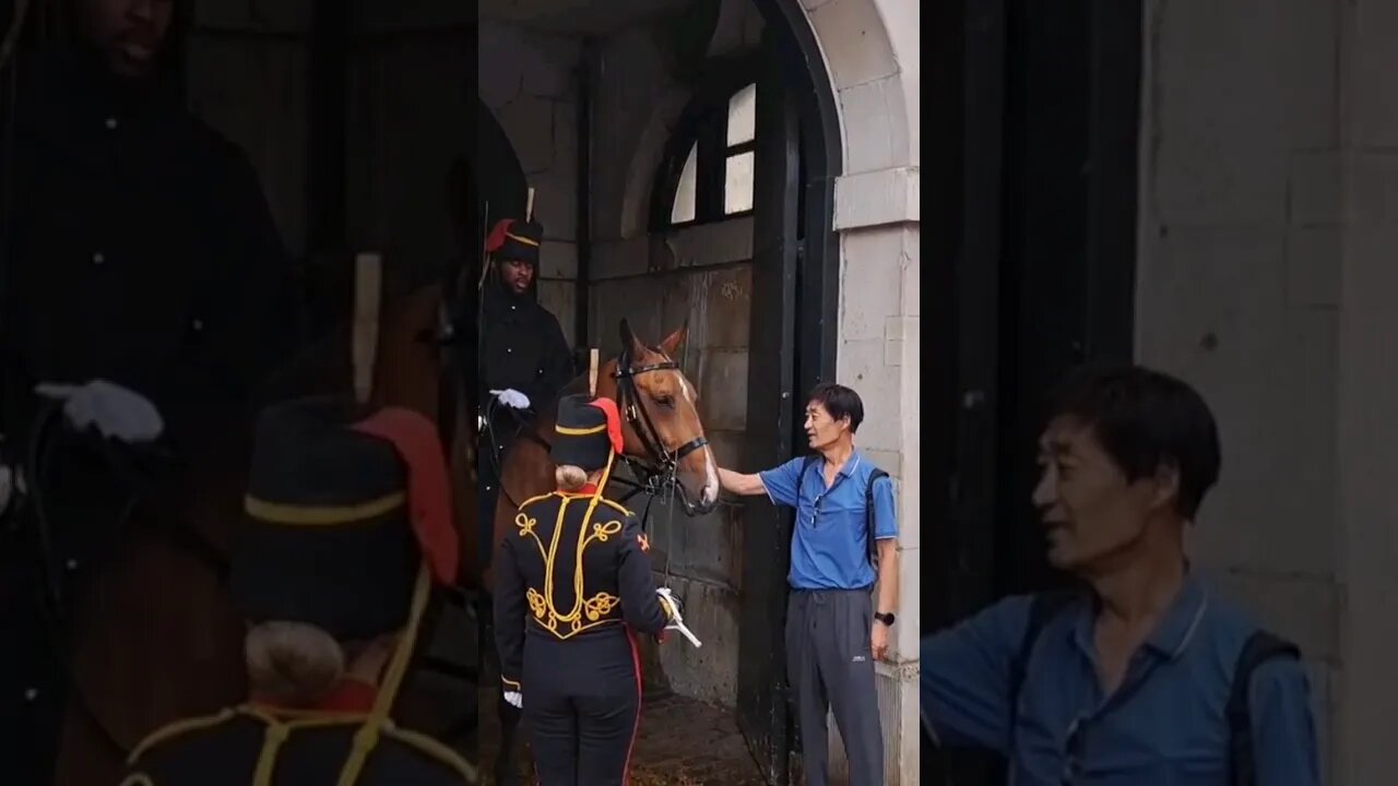 Got away with to much #horseguardsparade