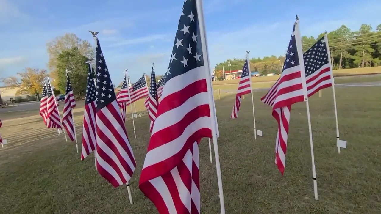 FREEDOMFIGHTERS FLAGS