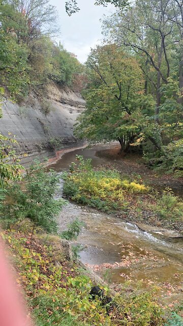 Rain on Silver Creek