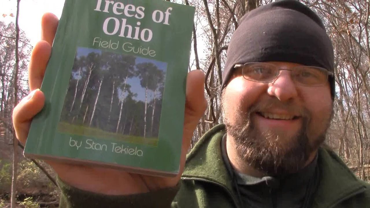 Tree Identification 101 -Mantis Outdoors