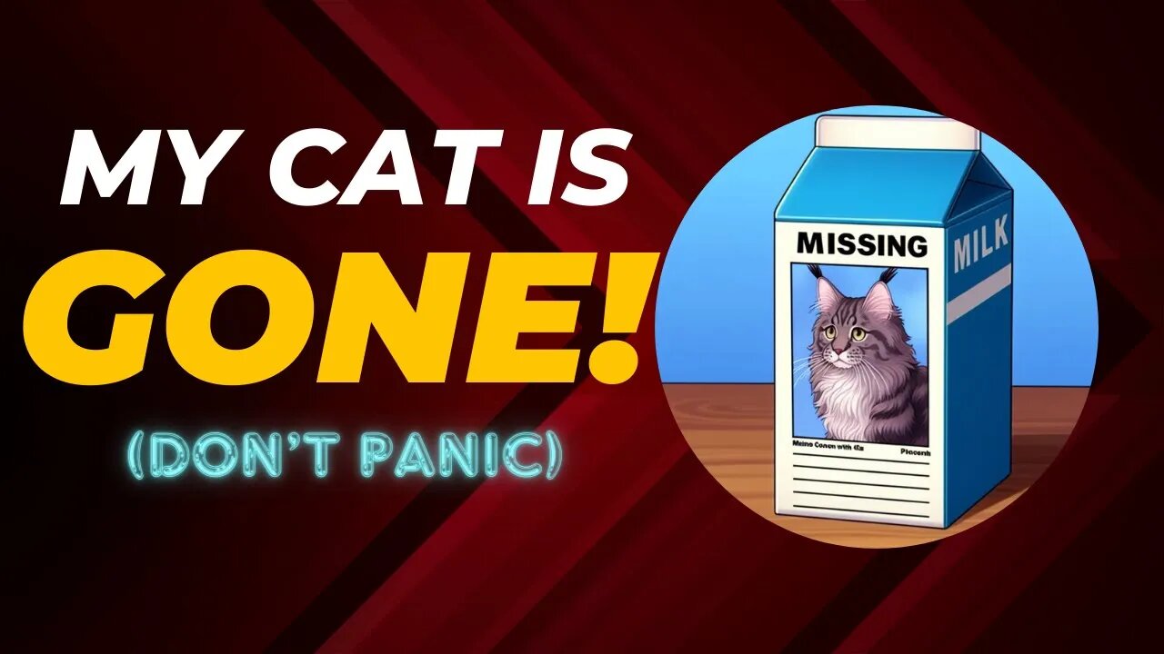 My Cat Is Missing (NOW WHAT!?!)