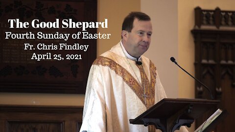 The Good Shepard