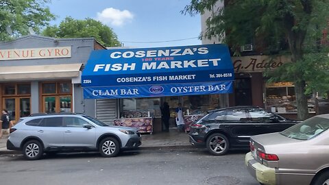 Walking the Bronx: Arthur Avenue (Sparkle, Sparkle Meets Drizzle, Drizzle)