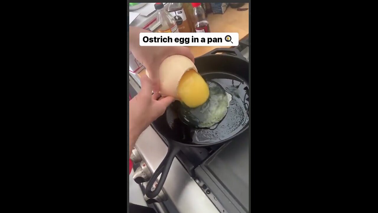 Ostrich egg in a pan