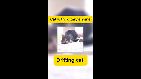 Cat rottary engine 🤣🤣