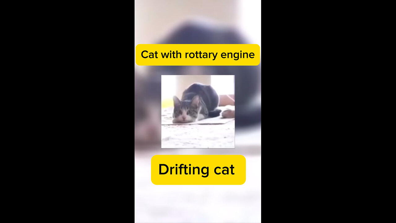 Cat rottary engine 🤣🤣