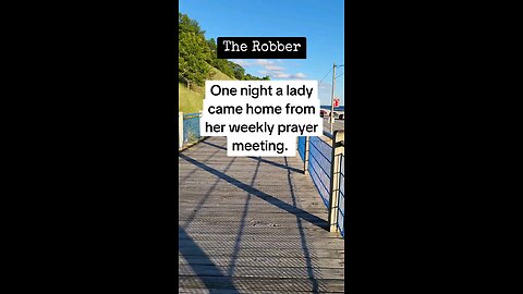 The Robber