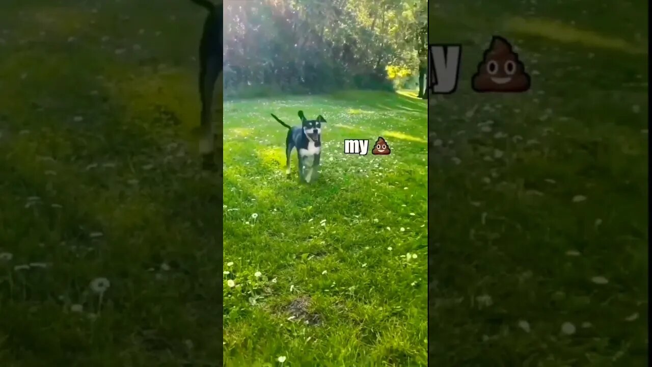 My Sh*T, My Sh*T, MySh*t....