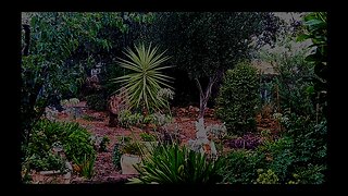 Winter in Australia - RAIN and distant thunder ambience.