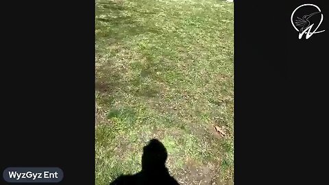 Millikin Park Chill Stream 04-10-2022