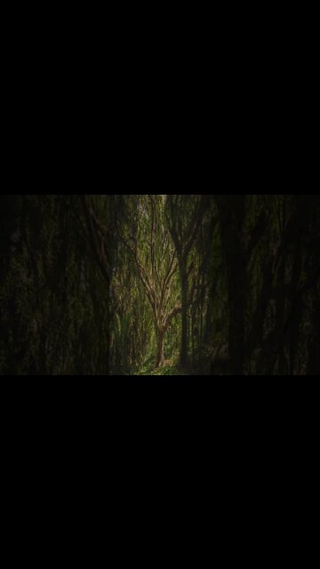 Distant Hotham #shorts #shortsvideo #shortvideo #music #calm #relaxsation