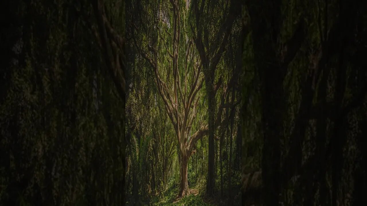 Distant Hotham #shorts #shortsvideo #shortvideo #music #calm #relaxsation