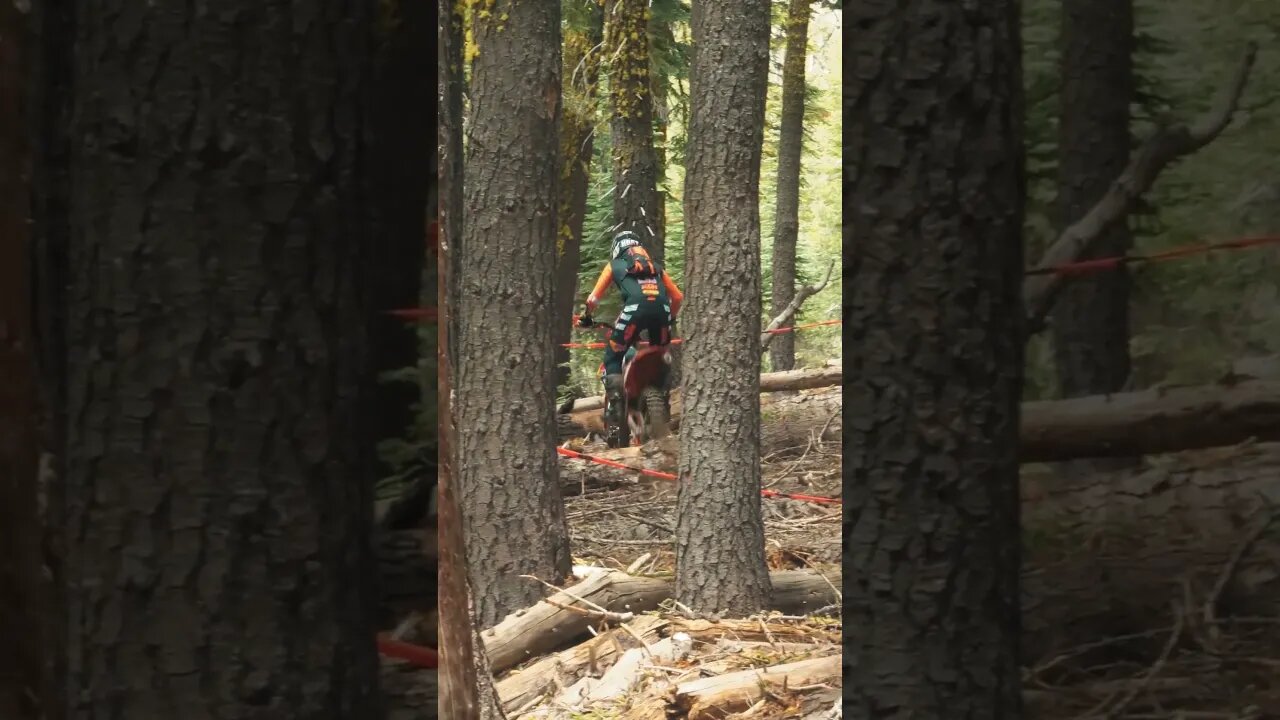 Donner Hard Enduro KTM's Tristan Hart #shorts #racing
