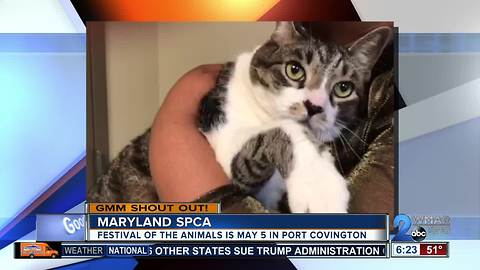 Good morning from Edward and the Maryland SPCA!