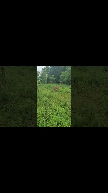 I think she's confused y'all...