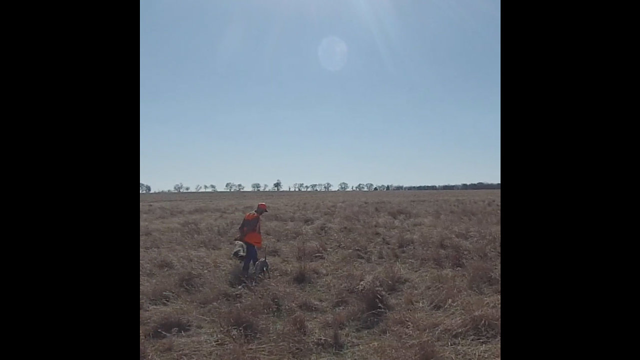 TX Upland Hunt