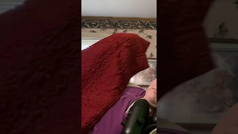 Siller Joined Me Temporarily for My ASMR Snoring