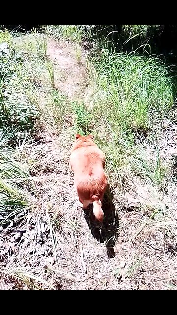 Maxine at the lake Mvskoke Nation Okmulgee Lake 2023 🇺🇸🇺🇸