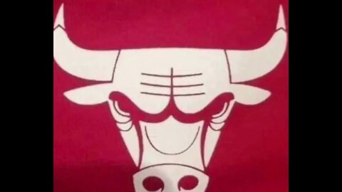 Bull's Logo Inverted (What do you see?)