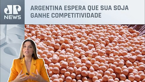Kellen Severo: Argentina adota “dólar soja” pela segunda vez em 2022