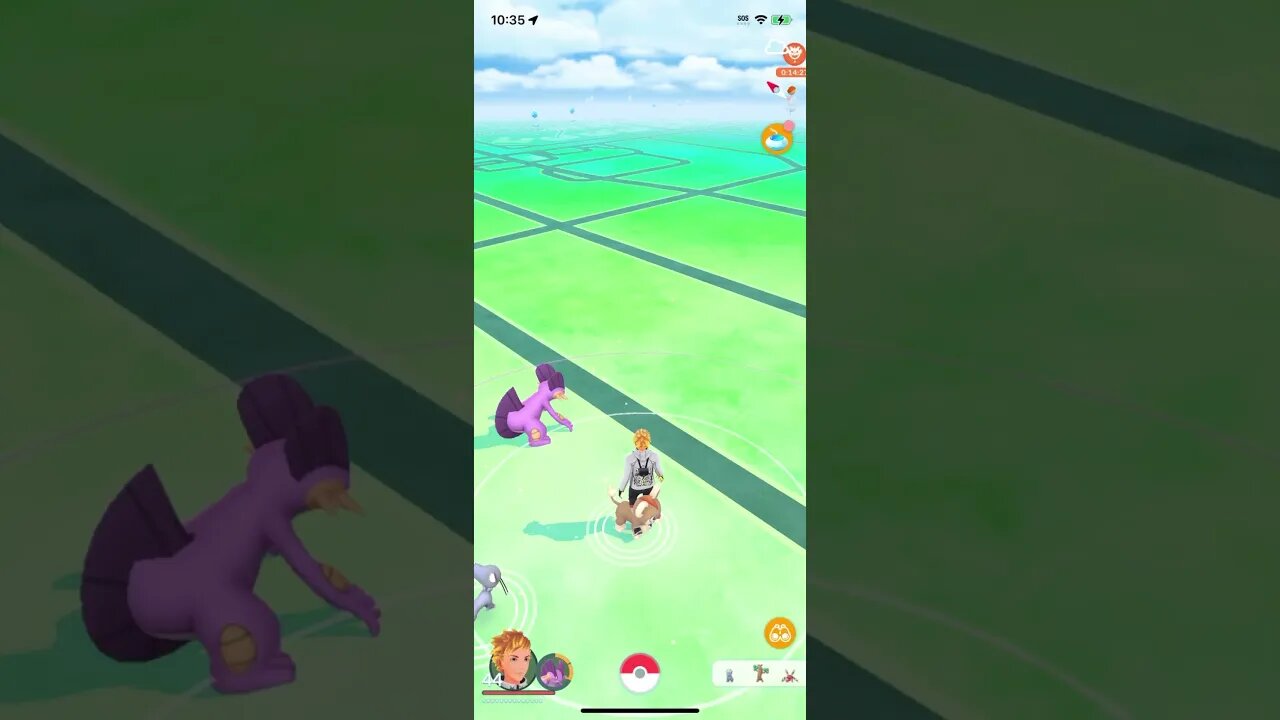 Shiny Compilation