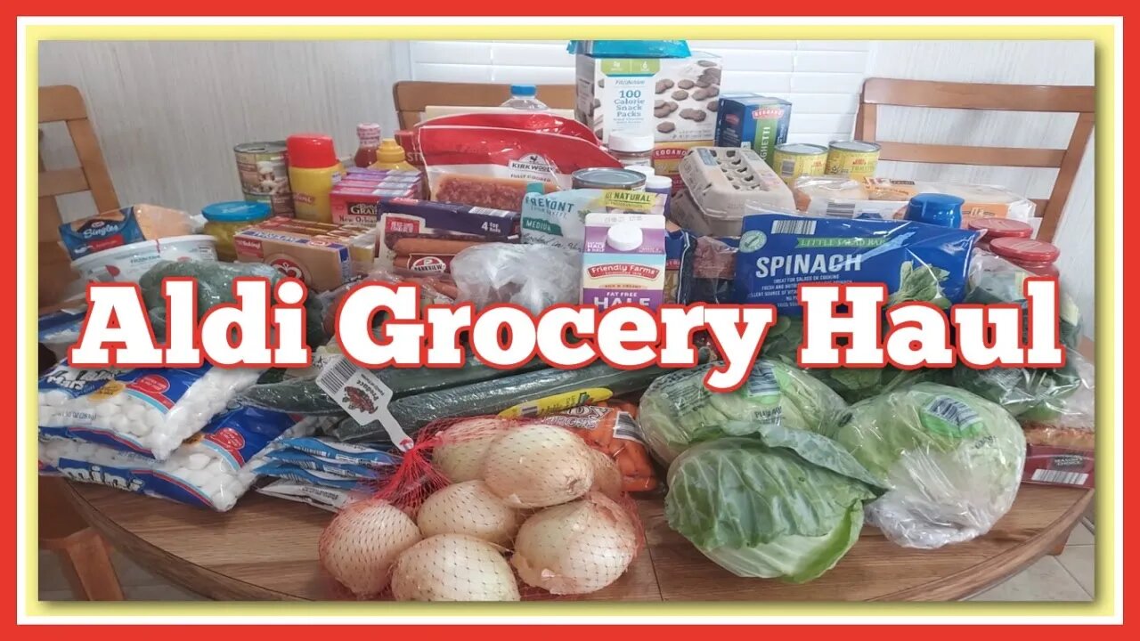 Aldi Grocery Haul | Grocery Store Pickup | Biweekly Grocery Haul