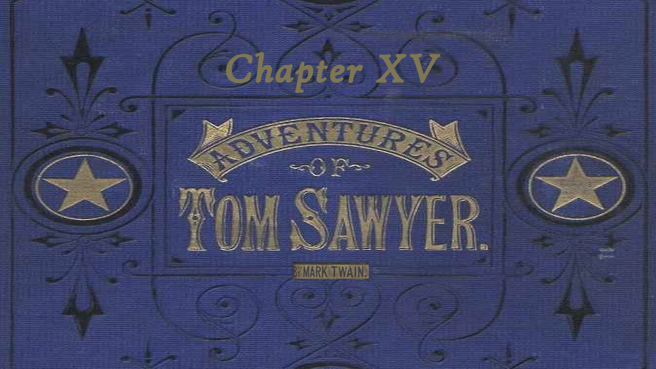 Tom Sawyer Illustrated Audio Drama - Chapter 15