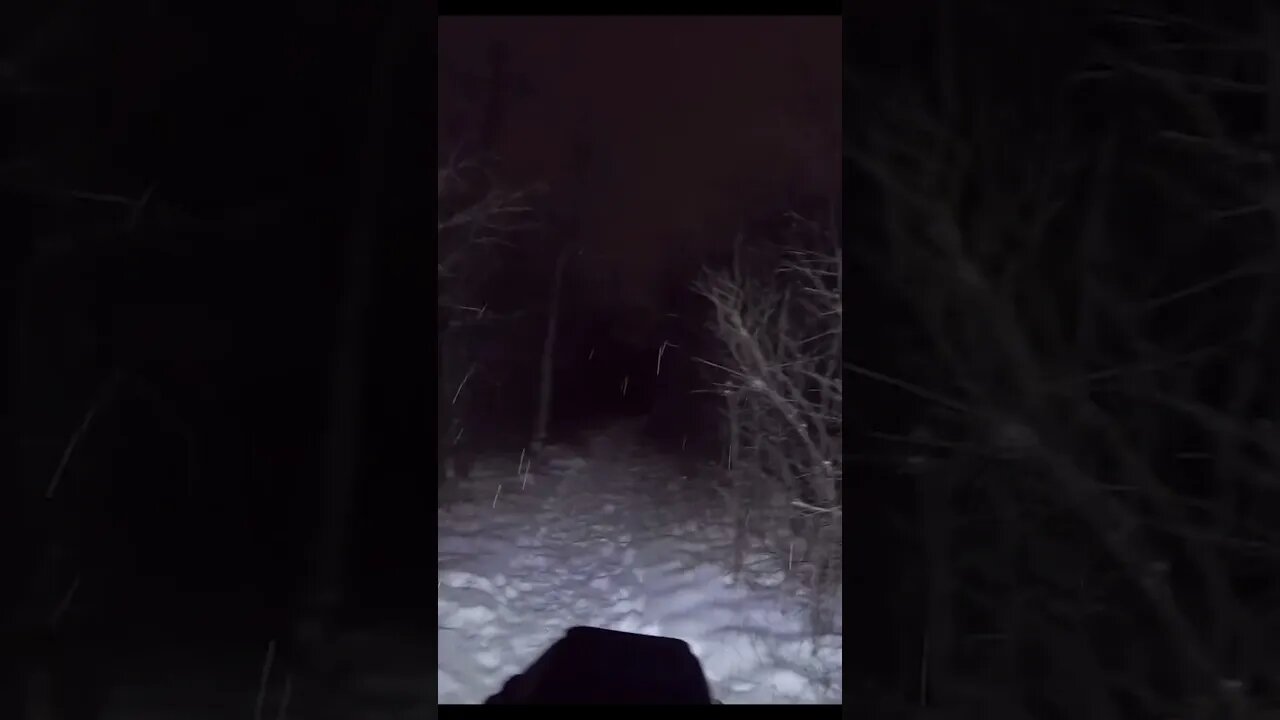 Strange noises in the WOODS- CREEPY #creepy #witch #bigfoot