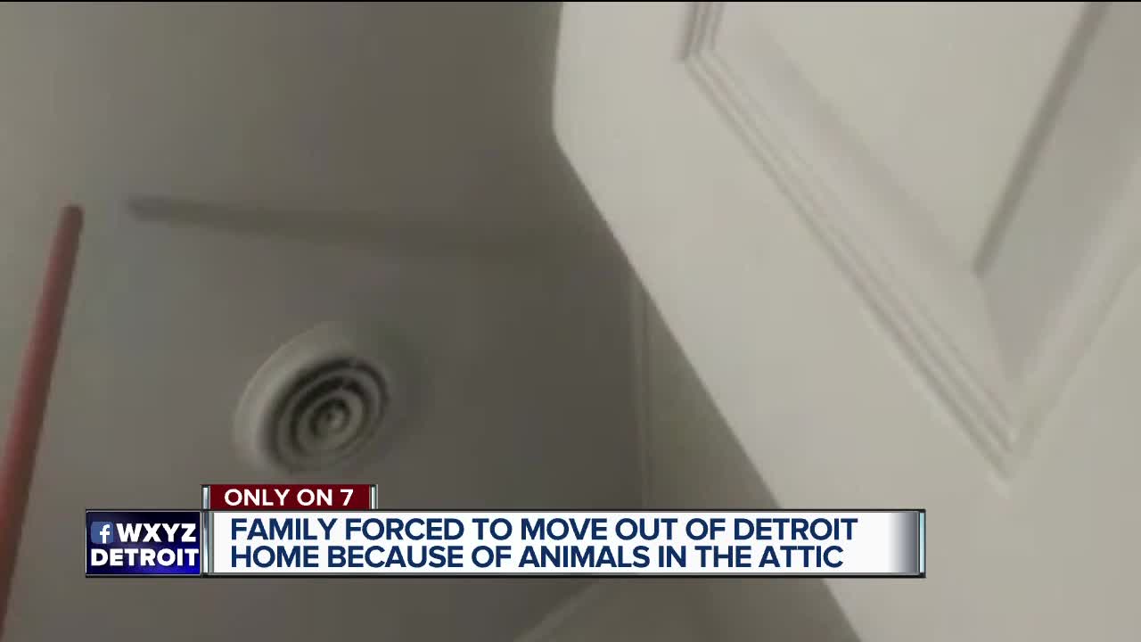 Family forced to move out of Detroit home because of animals in attic